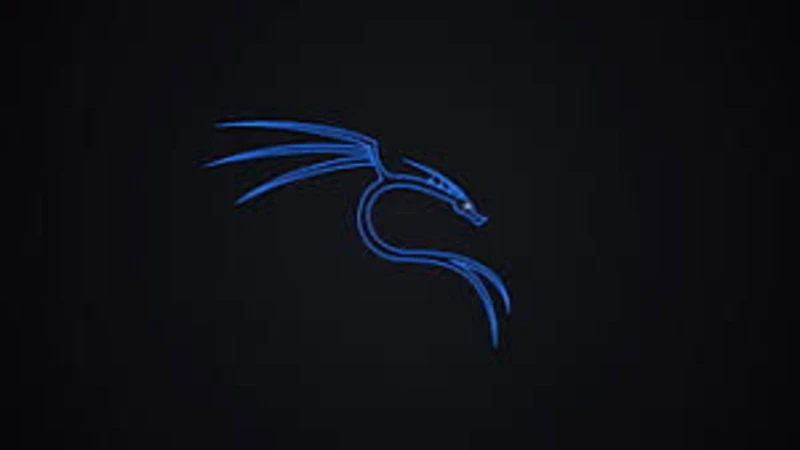 Flash belleğe kali linux nasıl yüklenir?