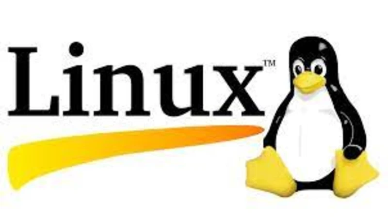 Linux İşletim Sistemi