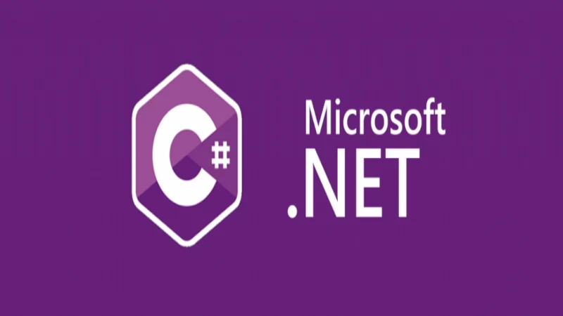 VDS ile .net core projesi nasıl canlıya alınır?